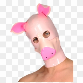 Swine Mask - Domestic Pig, HD Png Download - pig mask png