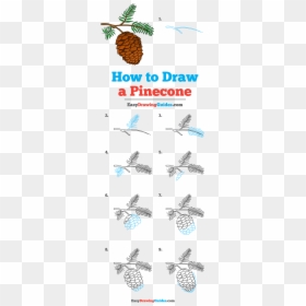 How To Draw Pinecone - Easy Step By Step Easy Pine Cone Drawing, HD Png Download - pinecones png