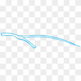How To Draw Pinecone - Wire, HD Png Download - pinecones png