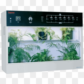 Thermo Scientific Plant Growth Incubator 846 846-3 - Incubator In Microbiology Lab, HD Png Download - plant growth png