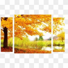 Autumnsplash Alt Banner - 2048 By 1152 Fall, HD Png Download - autumn banner png