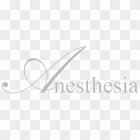 Anesthesia Contact Lens Logo , Png Download - Blade, Transparent Png - lens logo png