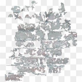 Christmas Tree, HD Png Download - tree bark texture png
