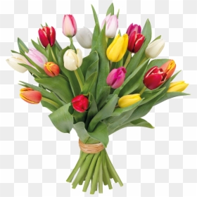 Romantic Hand Pot Flower Cartoon Transparent - Bouquet, HD Png Download - ramos de flores png