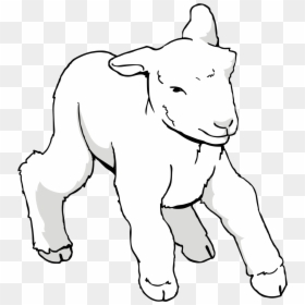 Clipart Agneau, HD Png Download - sheep head png