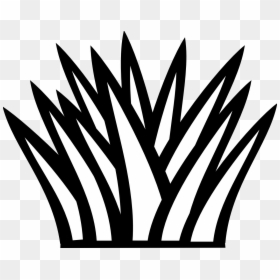 #dark #black #grasses #weeds#freetoedit - Water Plants Cut Out, HD Png ...