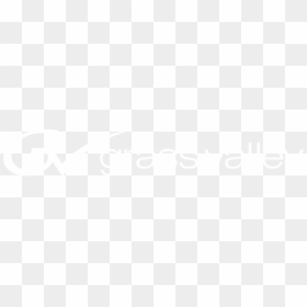 Plan White, HD Png Download - white grass png