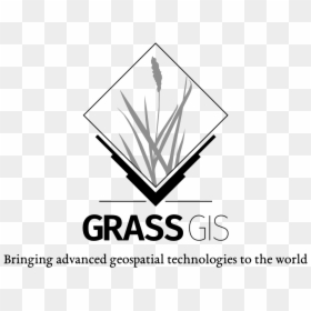 Grass Gis, HD Png Download - white grass png