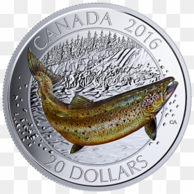 Salmon Coins, HD Png Download - big fish png
