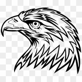 Eagle Head Png Picture - Eagle Head Black And White Clipart, Transparent Png - bird head png