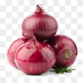 Rapid In-field Determination Of Nitrogen In Onions - Big Onion Png, Transparent Png - onion plant png