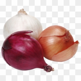 Onions Red And Yellow, HD Png Download - onion plant png