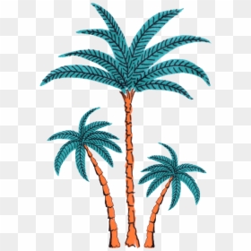 Palm Tree Dancing Sticker By Splash House - Transparent Palm Tree Gif, HD Png Download - coconut tree vector png
