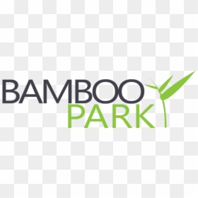 Bamboo Park Sunshine Coast - Graphic Design, HD Png Download - bamboo forest png