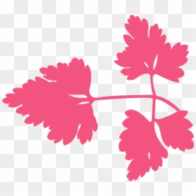 Illustration, HD Png Download - perejil png