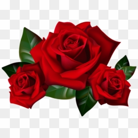 Rose In Png, Transparent Png - rosa vermelha png