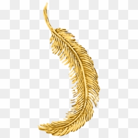 Tiffany"s 18k Yellow Gold Feather Pin - Gold Feather Png, Transparent Png - pine bough png