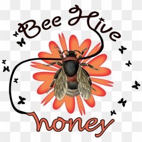 Transparent Vintage Beehive Clipart - Bee, HD Png Download - black eyed susan png