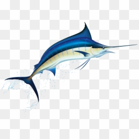 Clipart Marlin, HD Png Download - marlin fish png
