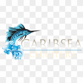 Caribsea Charters - Portable Network Graphics, HD Png Download - marlin fish png
