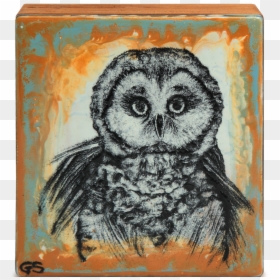 Great Grey Owl, HD Png Download - baby owl png