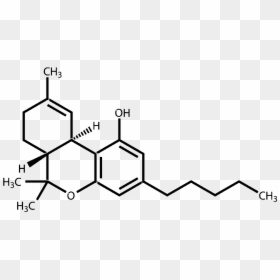 Thc Molecular Structure, HD Png Download - thc molecule png