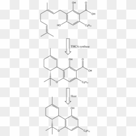 Genetic Code Of Marijuana, HD Png Download - thc molecule png