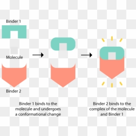 Diagram, HD Png Download - thc molecule png