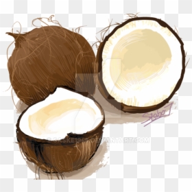 Coconuts Vector Illustration - Cake, HD Png Download - coconut vector png