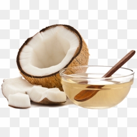 Oil Coconut, HD Png Download - coconut vector png