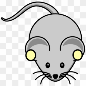 Clipart Rats Free - Rat Clipart, HD Png Download - white rat png