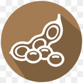 Circle, HD Png Download - soy png