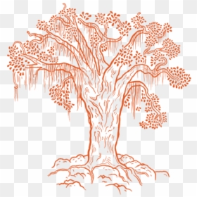 Tabaquillo-tree Copy3 - Illustration, HD Png Download - mountain tree png
