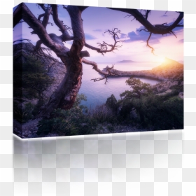 Fisher Tv, HD Png Download - mountain tree png