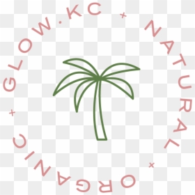 Kc Seal Palm, HD Png Download - glowing lines png