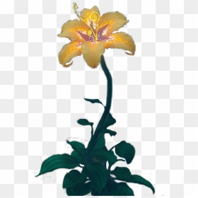 #goldenflower #disney #tangled - Transparent Tangled Magic Flower, HD Png Download - golden flower png