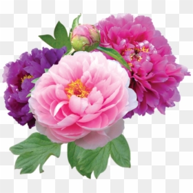 Good Morning Gif Image In Hindi Blessing, HD Png Download - flores em png