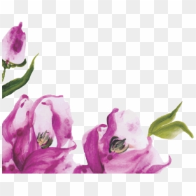 Floral Para Baixar Lilás - Border For Wedding Purple, HD Png Download - monograma rosa png