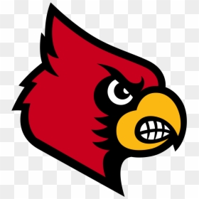 Louisville Cardinals Logo, HD Png Download - cardinals logo png