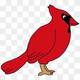 Cardinal Clipart, HD Png Download - cardinals logo png