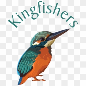 Coraciiformes, HD Png Download - kingfisher logo png