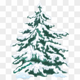 Evergreen Trees With Snow Clipart, HD Png Download - evergreen tree png