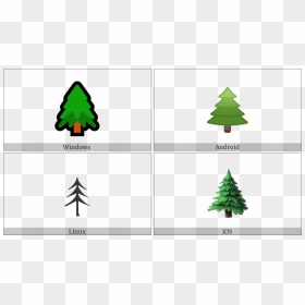 Christmas Tree, HD Png Download - evergreen tree png