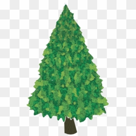 Christmas Tree, HD Png Download - evergreen tree png
