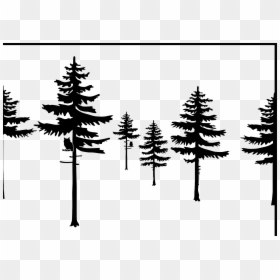 Ever Green Tree Outline, HD Png Download - evergreen tree png