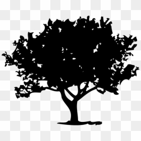 Family Tree Tshirt Design, HD Png Download - tree icon png