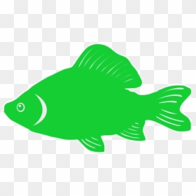 Pomacentridae, HD Png Download - fish silhouette png