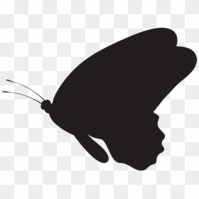Clipart Butterfly Silhouette, HD Png Download - fish silhouette png