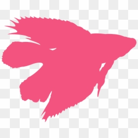 Fighter Fish In Chennai, HD Png Download - fish silhouette png