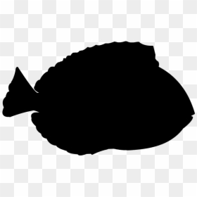 Blue Tang Silhouette, HD Png Download - fish silhouette png
